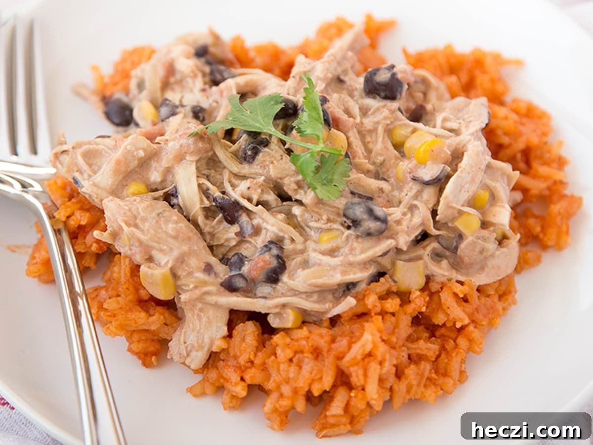 Slow Cooker Creamy Fiesta Chicken is such a simple, flavorful crock pot recipe! It is a tasty crock pot meal made with pantry staples! creamy fiesta chicken over mexican rice, topped with cilantro