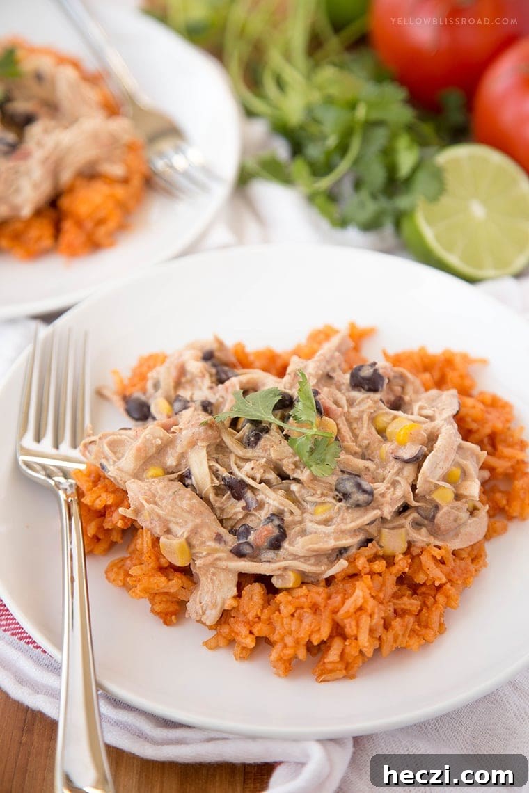 Slow Cooker Creamy Fiesta Chicken is such a simple, flavorful crock pot recipe! It is a tasty crock pot meal made with pantry staples! fiesta chicken crockpot meal served over mexican rice