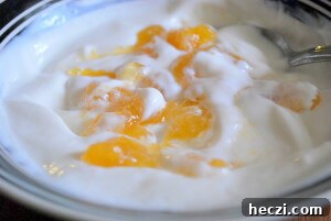 Jelly Style Greek Yogurt Swirl {THM~E, Page 252}