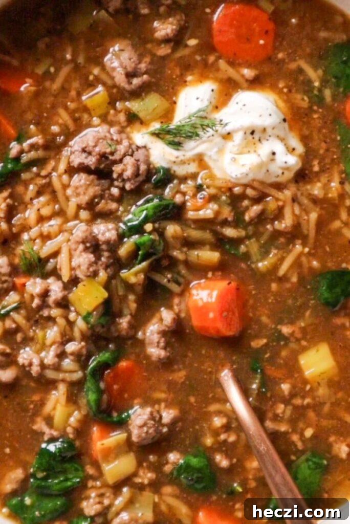 easy beef soup recipe