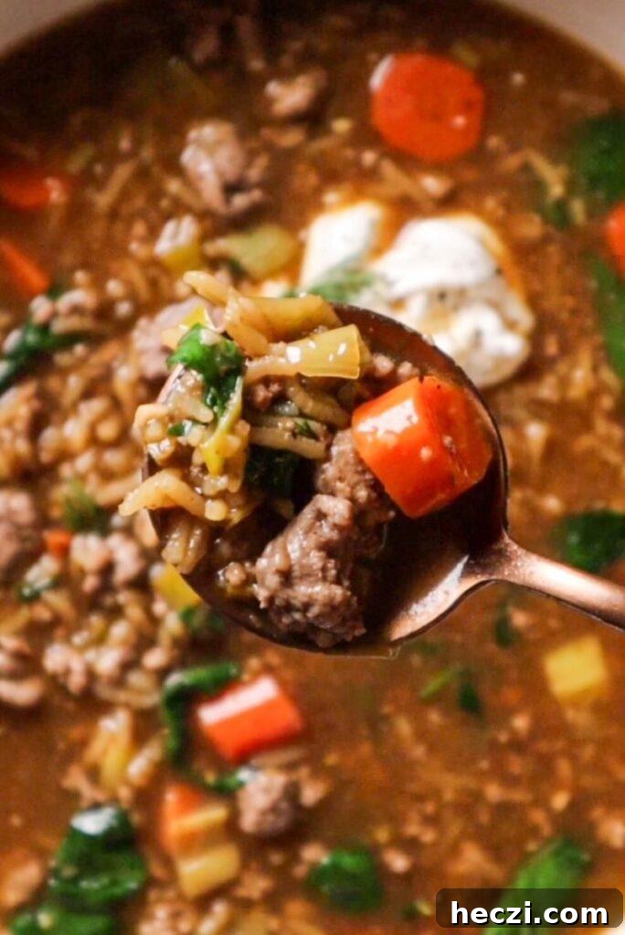 beef vegetable and rice winter soup recipe