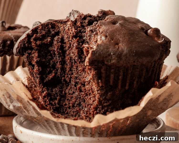 Upclose shot of chocolate muffin on plate with bite taken out.