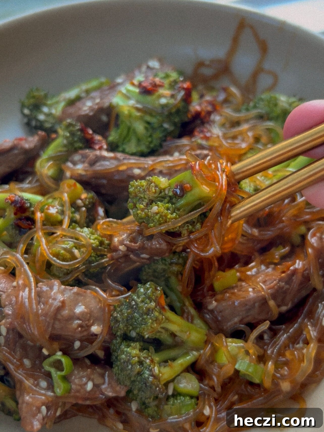 Beef and Broccoli Noodles with Savory Ginger Sauce 2 img 8693 1