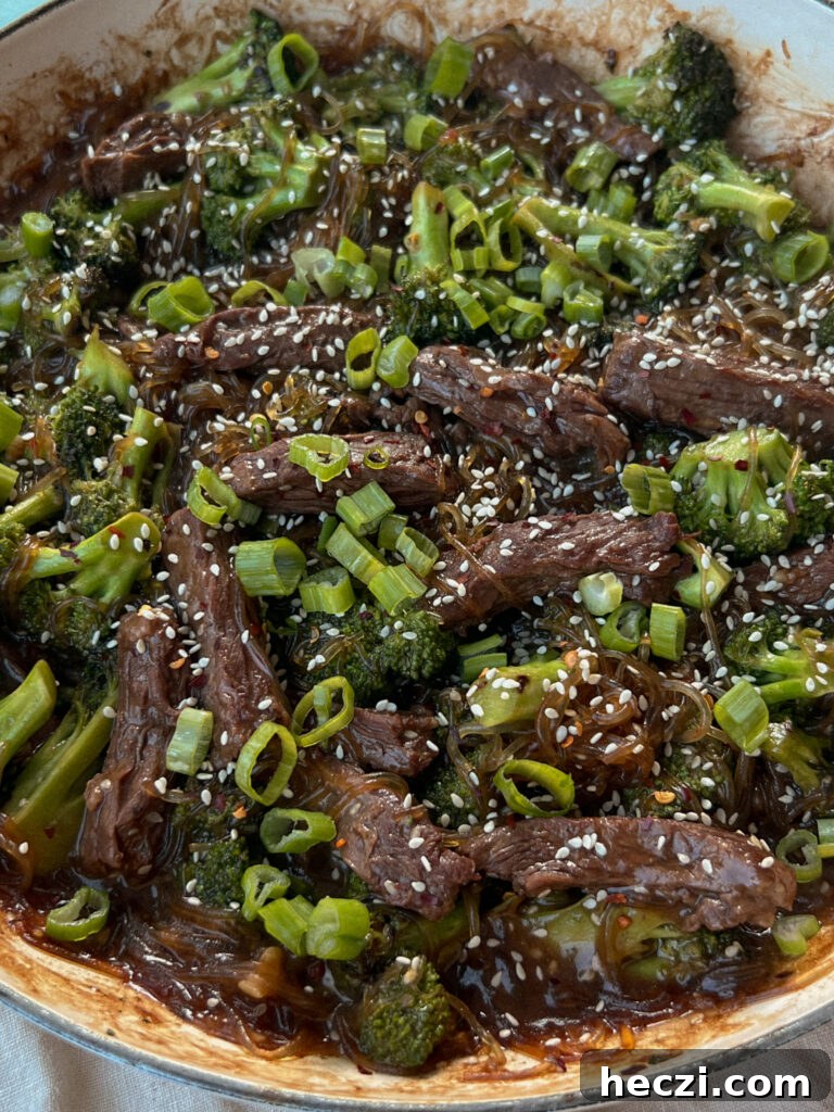 Beef and Broccoli Noodles with Savory Ginger Sauce 4 img 8693 3