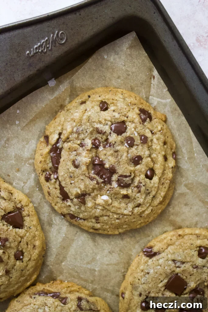 Cookies fresh from oven