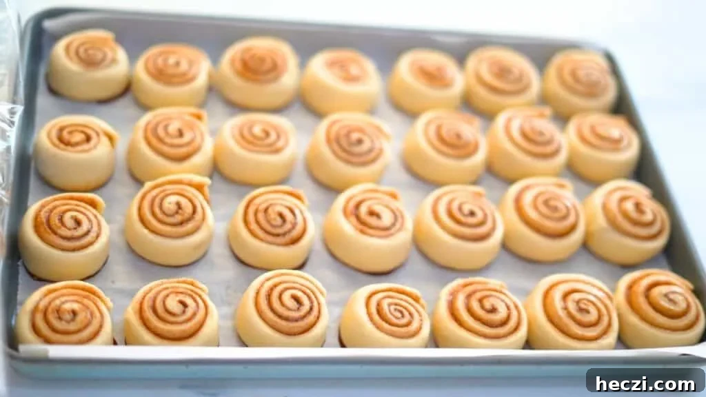 Pillowy Mini Cinnamon Rolls Recipe for Perfect Soft Bites 8 how to make small cinnamon rolls
