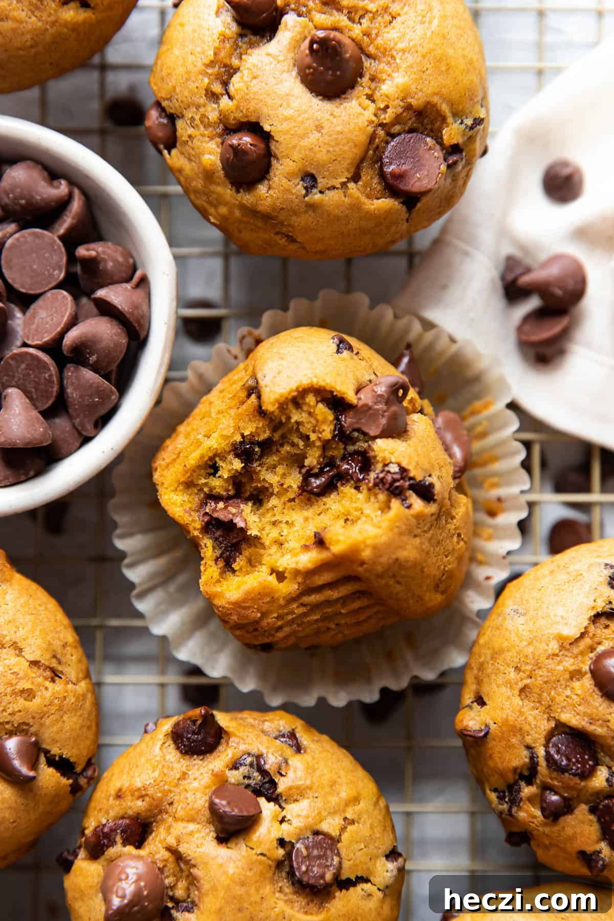 pumpkin chocolate chip muffins.
