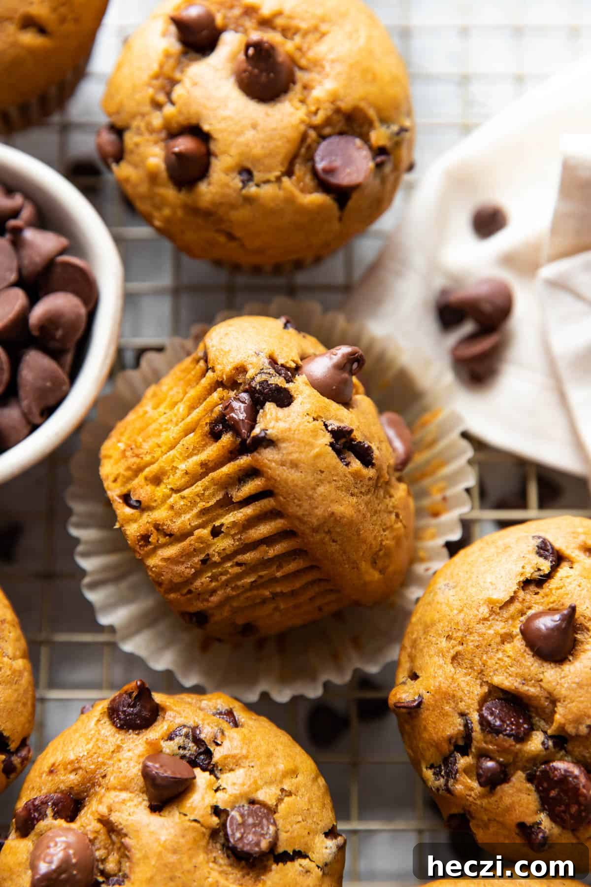 pumpkin chocolate chip muffins.