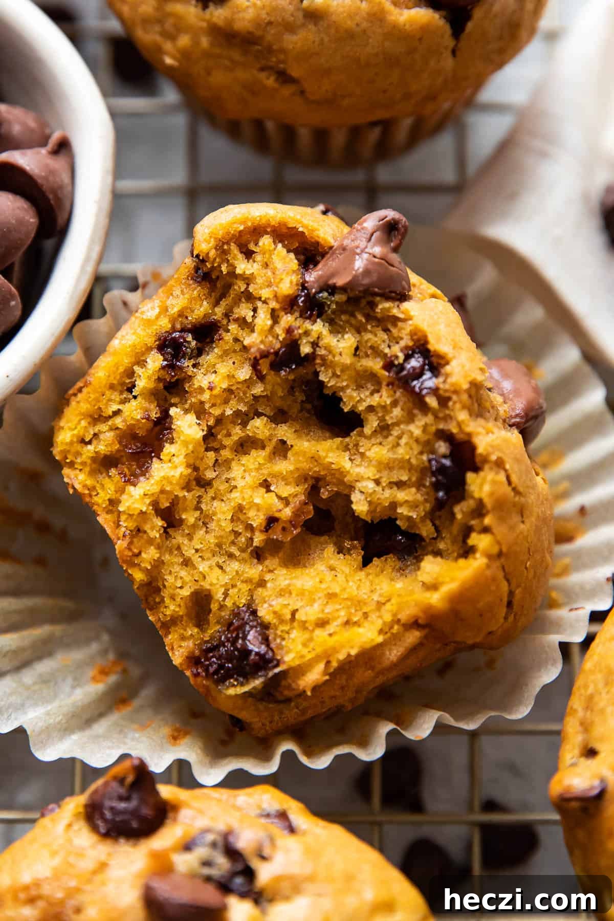 pumpkin chocolate chip muffins.