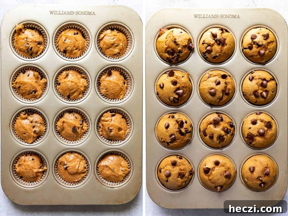 pumpkin chocolate muffins in a muffin tin before being baked and shown after being baked.