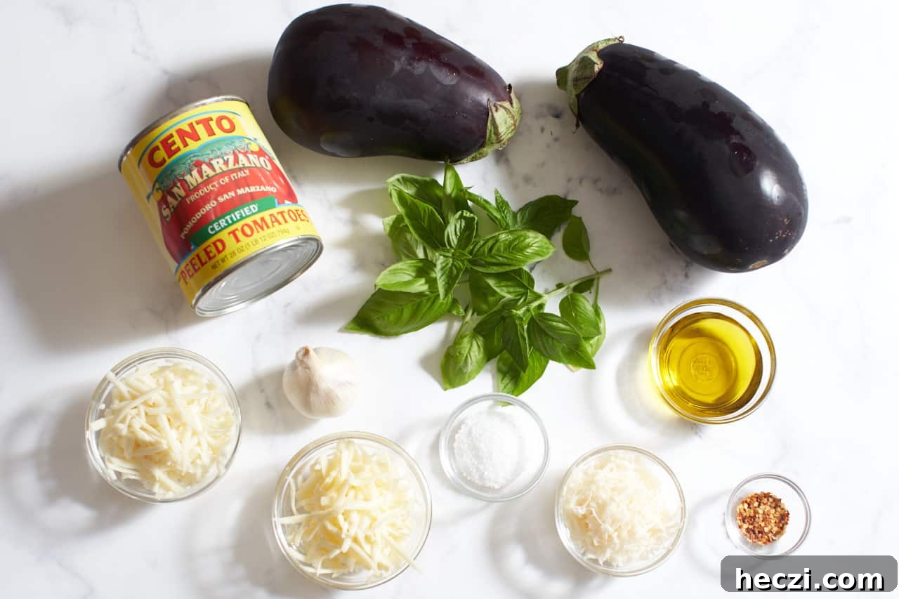 Two eggplants, fresh basil, a head of garlic, a can of San Marzano tomatoes, and small bowls of cheeses, olive oil, salt and crushed red pepper.