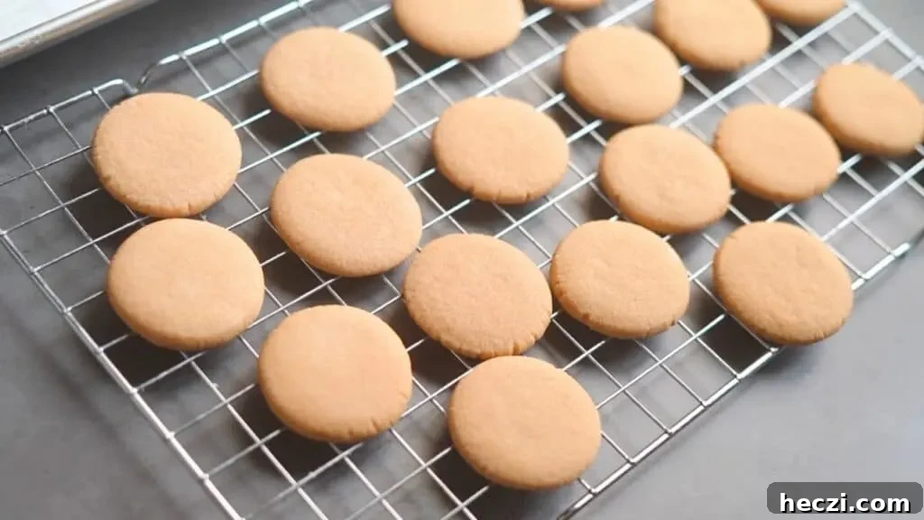 three ingredient cookies without egg