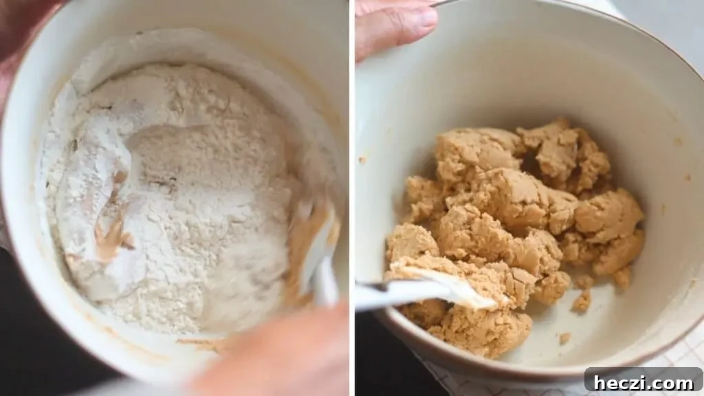 three ingredient brown sugar cookie without egg